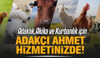 Isparta'da Sütçülerli Adakçı Ahmet'ten Hizmet Almanın Ayrıcalığını Yaşayın!