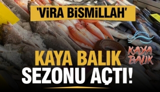 Kaya Balık: Yeni Sezona Lezzet Dolu Bir Başlangıç!