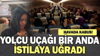 Yolcu Uçağında Sivrisinek Kabusu: Havada Gerilim Dolu Anlar