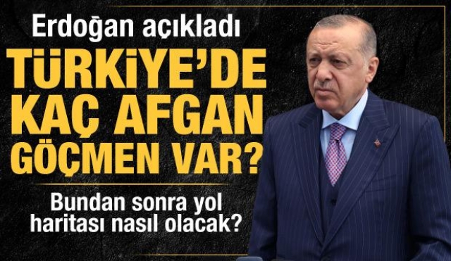 TÜRKİYE'DE KAÇ AFGAN GÖÇMEN VAR?