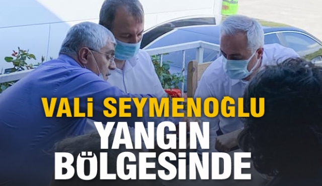 HABER: VALİ SEYMENOĞLU YANGIN BÖLGESİNDE 