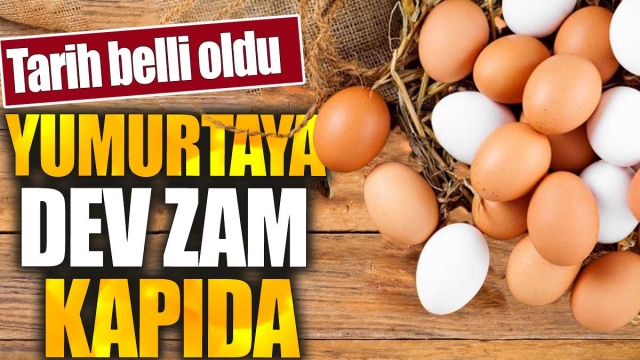 Yumurta Fiyatlarına Zam Beklentisi! İşte Detaylar