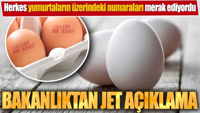 Yumurtalardaki Rakamların Sırrı Çözüldü: Bakanlıktan Açıklama Geldi