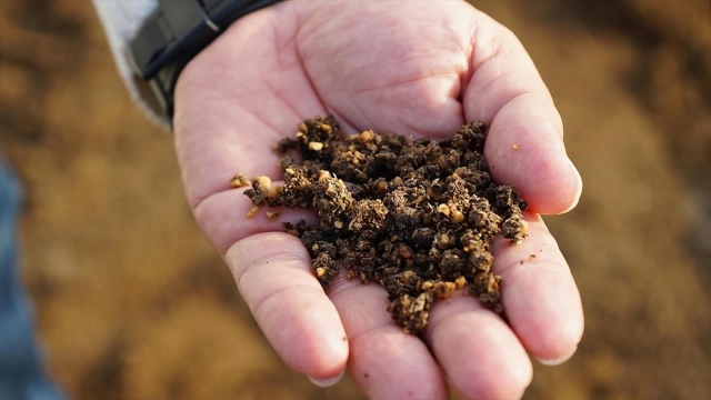 Zeytin çekirdeğinden üretilen çevreci yakıta talep artıyor